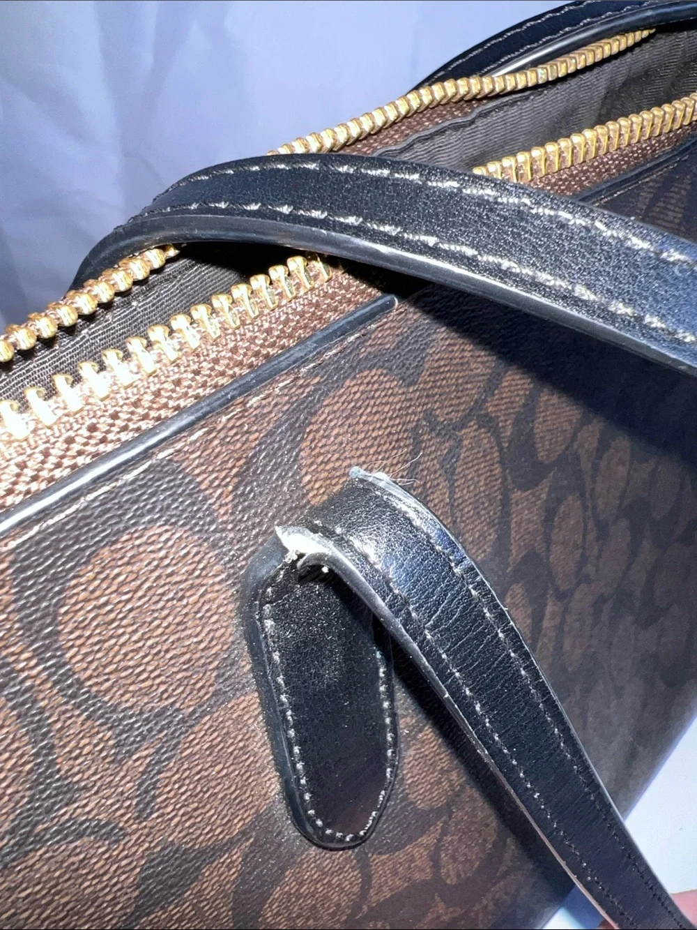 Coach 2020 Zip Top Tote Signature Canvas